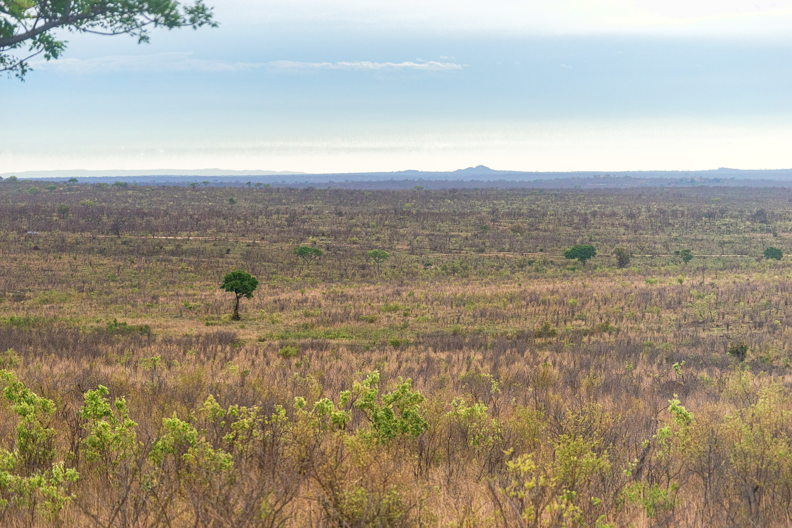 20161112 074708 Krüger Nationalpark